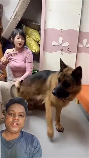 what is the dog doing 🐶 #funny #love #puppy #cutedog #pets #animals
