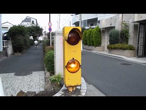 LED電球が入ったブリンカーライト(小糸製)
