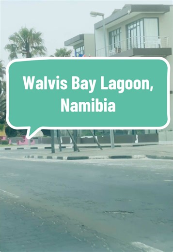 Discover Walvis Bay Lagoon: A Namibian Gem