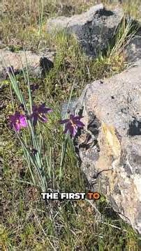 Lower Table Rock Hike Guide 🥾 | Nature Highlights