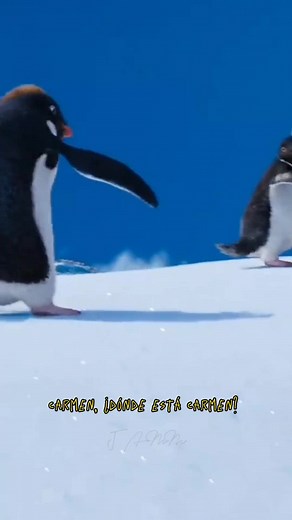 Happy Feet 2: Ramon and Carmen Love Scene