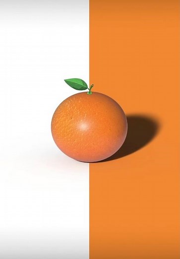 Adobe Illustrator Beginners to Pro Tutorial