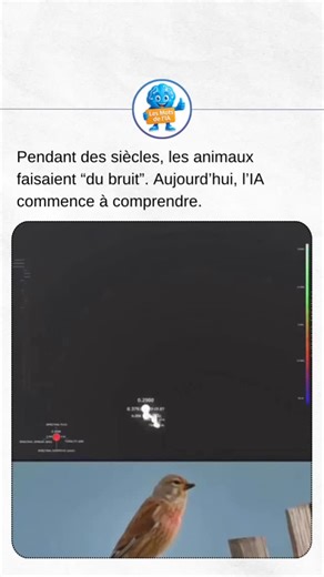 Bloo | IA & Tech on Instagram: "Depuis toujours, les sons animaux étaient perçus comme aléatoires. Des cris. Des chants. Du bruit. Aujourd’hui, l’intelligence artificielle change la lecture de ces signaux. Grâce à l’analyse fine du rythme, de la hauteur, de la répétition et du contexte, des modèles d’IA identifient des structures sonores invisibles à l’oreille humaine. Des motifs liés au stress, à l’alerte, à la reproduction ou à la coordination sociale. Ce n’est pas une traduction magique. C’es