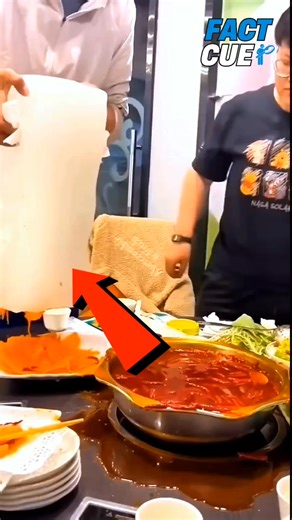 95K views · 141 reactions | Too much oil? Fix it the smart way! ✨ | Fact Cue | Facebook