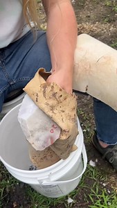Novaculite Spear and Dart Points. - Mac • • #flintknapping #flintknapper #flintknappers #stoneknapping #ancienttools #primitiveskills #primitivecrafts #neolithic #paleolithic #outdoors #prehistory #prehistoric #lithic #stoneart #stoneage #stoneagetools #projectilepoints #experimentalarchaeology #novaculite | McLean Lithics