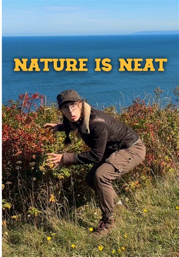 Discover the Surprising Benefits of Rose Hips