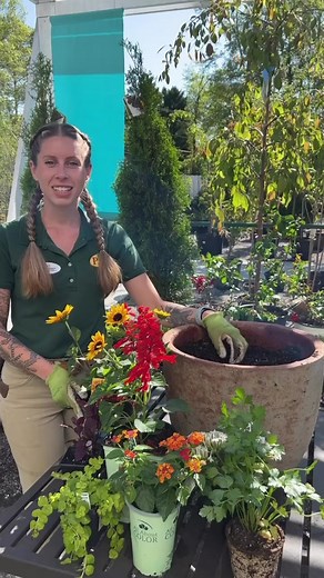 Attract Pollinators with this Container Garden Guide