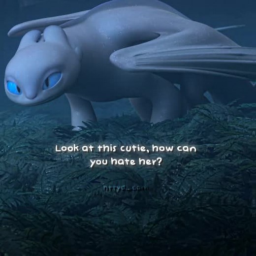 The Heartwarming Tale of Toothless and the Lightfury
