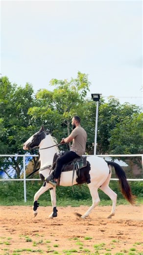 Bread may feed my body but my feeds my soul ❤️OZA❤️#thathagene | Ibrahim Farms