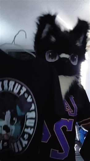 Exploring the Furry Femboy Community