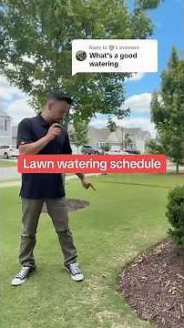 A good watering schedule for lawn
