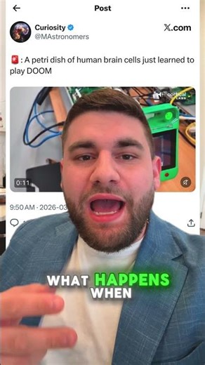 Scientists Taught Brain Cells in a Lab to Play DOOM