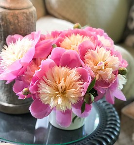 How to Stake Peonies in 3 Easy Steps