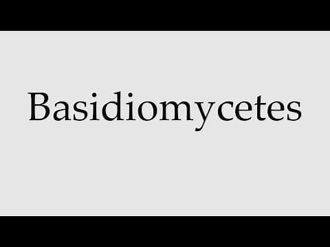 How to Pronounce Basidiomycetes