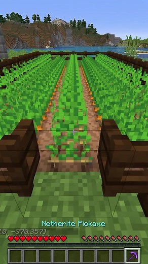 Ultimate Minecraft Inventory Organization Tips