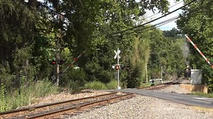 New Hope & Ivyland 2-8-0 40. This Baldwin Consolidation was built 100 years ago today. | Dynamo Productions