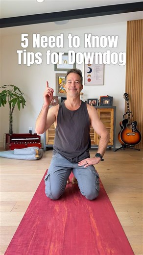 5 Need to Know tips for Downdog