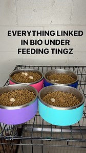65K views · 2.2K reactions | Here’s our daily feeding routine, special shoutout to Ava's Pet Palace & Blind Dog Biscuit for the extra additives! Be sure to follow them and show support. #bigdaddynem #feedingtime #pethonesty #healthydiet #pets #petsoftiktok #dogsoftiktok #dogmomlife | Big Daddy Nem | Facebook