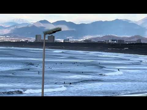 【鵠沼海岸】2026.3.4(水)AMモモコシ