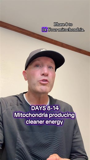 What happens inside your body when you start reversing metabolic decay. | Chubby.for.life