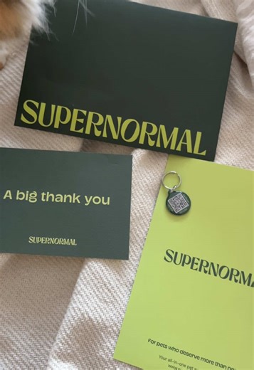 little pet tracker from TikTok shop #pettracker #tracker #cat