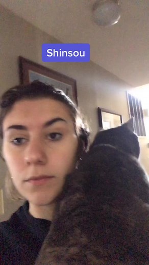 Todoroki and Shinso: A Cat-filled Conversation | My Hero Academia