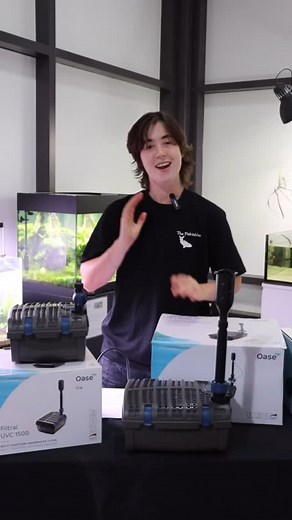 Clear pond, happy fish! 🐟💧 This is one of our best-selling all-in-one filters for small ponds. Watch the video to find out why! You can purchase a Filtral filter of your own using the link here: https://www.thefishworks.com.au/oase-filtral-3000-pond-filter/?srsltid=AfmBOooIG0VEGt7sW_gogn4F69G7i-_KuJprl46ZRu1F2ZtjjjyNiM0v You can find an in-depth YouTube video on this filter on our YouTube channel (linked in the description). Let us know if you have any questions about which pond filter is best