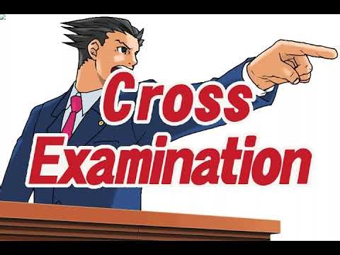 Phoenix Wright: Ace Attorney – The People vs M. Bison