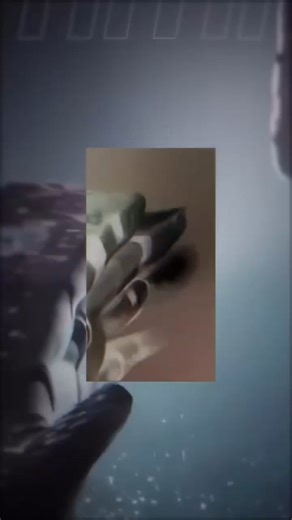 documentary video 05