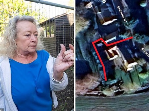 How fence dispute sparked $200k neighbour battle - realestate.com.au