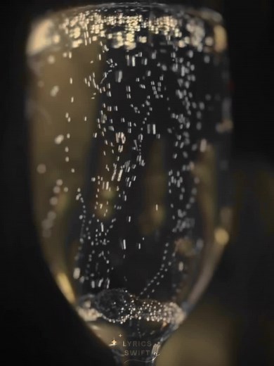 Champagne Problems - Taylor Swift Lyrics Translation