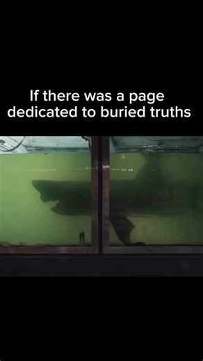 Inhistory | In 2018, urban explorers stumbled upon a haunting sight in Victoria, Australia—a massive 16‑foot great white shark abandoned inside a... | Instagram