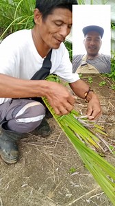 7.8K views · 147 reactions | PAGGAWA NG PAUSOK SA PUTYOKAN OR NAMO #followers #wildhoneyhunter #tutorial | Sumipo Roland Vlog | Facebook