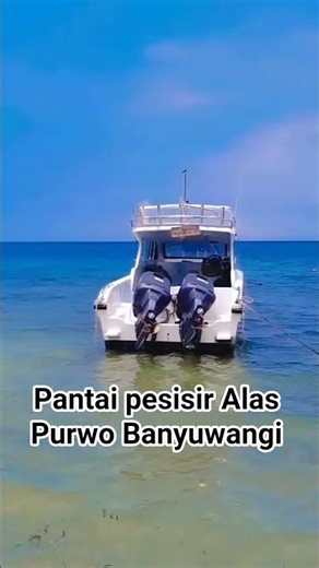 Pesisir Alas Purwo #views #fyp #fypシ #viral #sea #alone #shortvideo #shorts #island #views #god