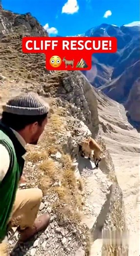 Shepherd Saves Baby Ibex Hanging Off a Cliff! 😳🐐⛰️