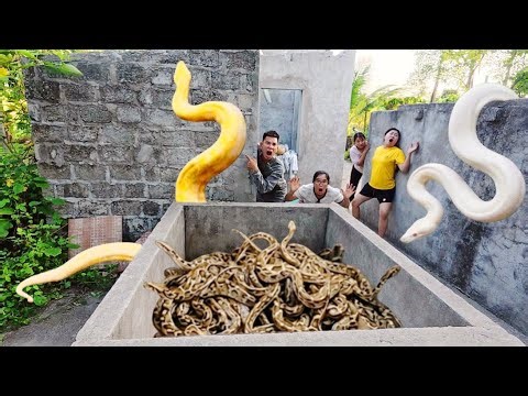 Brave soldiers used high-tech snake detectors to locate the giant python's nest.