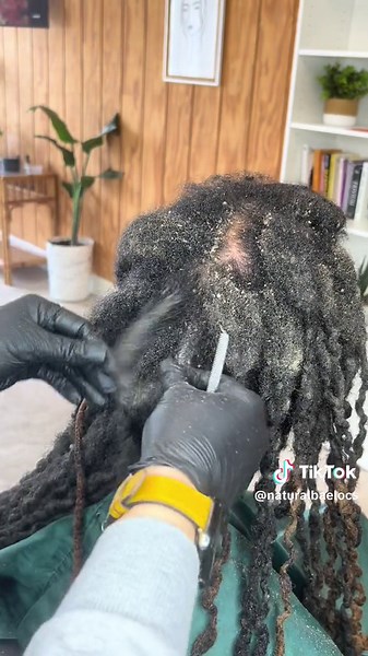 Wow, I decided to sit outside and create a poem about locs off the top of my head.. Its real, and raw. I love locs. I love the journey. #locjourney #fyp