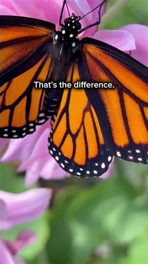 The secret to changing your reality