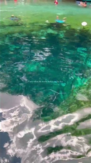 POV: you found one of Florida’s clearest adventures 💎🛶