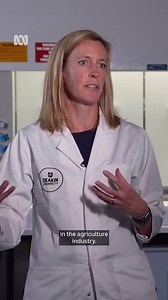 Australia’s fashion waste is a growing problem, but these scientists say they have an answer. ABC News reporter Rachel Clayton has more. #Fashion #FastFashion #RecycledFashion #FashionWaste #Victoria | ABC Melbourne