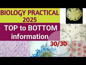 SECOND PUC BIOLOGY PRACTICALS 2024-2025 # 2nd PUC BIOLOGY PRACTICALS # BIOLOGY LAB EXPERIMENTS #Viva