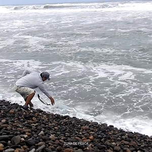 Las cámaras lograron captar lo que pocos han visto en directo: instantes únicos de pesca increíble. Mira cómo todo quedó registrado en video con una claridad asombrosa. | Zona de PESCA