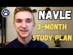 92 Days to NAVLE! What You Need to Know To Get Started!