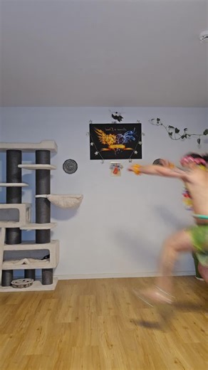 Daniel Middel's Hula Hoop Dance Performance