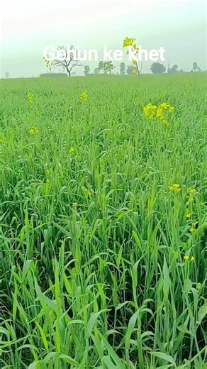 follow me‪@RajuKumar-t4u8v‬ ,♥️♥️♥️♥️♥️👉👉👉👉