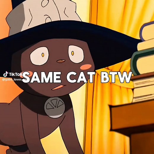 Soul Eater Anime Edit Featuring Blair