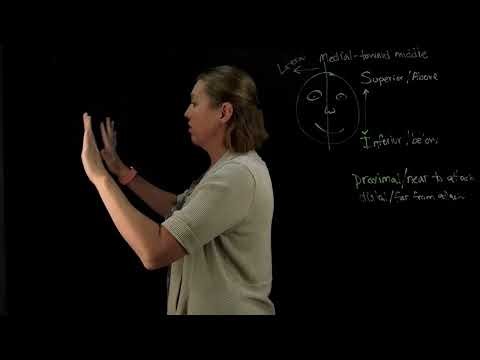 Directional Terminology