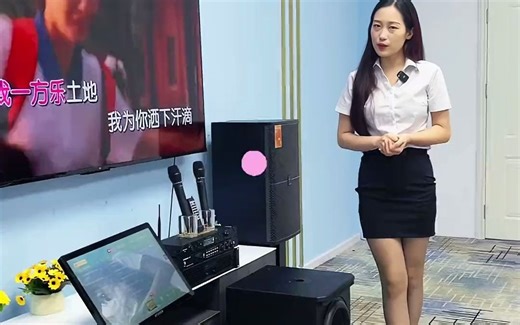 山水SANSUI官方-ktv音响套装 k歌音响 音响设备 音响 家庭ktv音响