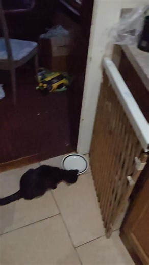 Dave England on Reels