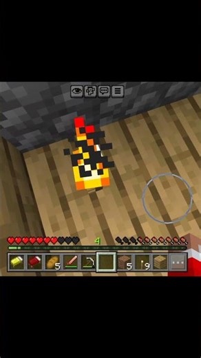 Did you Know Minecraft Torch Secret 😨 #shorts #minecraft